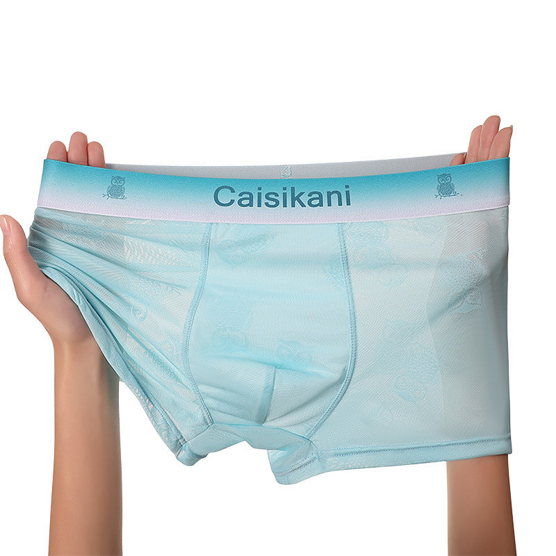 đăBalenĂ 5 kusĆŻăăL-4XLăPĂĄnskĂ© prĆŻsvitnĂ© sĂĆ„ovanĂ© spodnĂ prĂĄdlo â sexy, prodyĆĄnĂ© a transparentnĂ