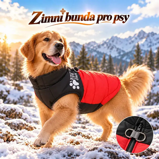 🐶🐱Podzimní a zimní oblečení pro domácí mazlíčky: bundy na vodítko pro venkovní použití, snadno se oblékají a svlékají pomocí zipu, teplé a nepromokavé.✅Platba na dobírku