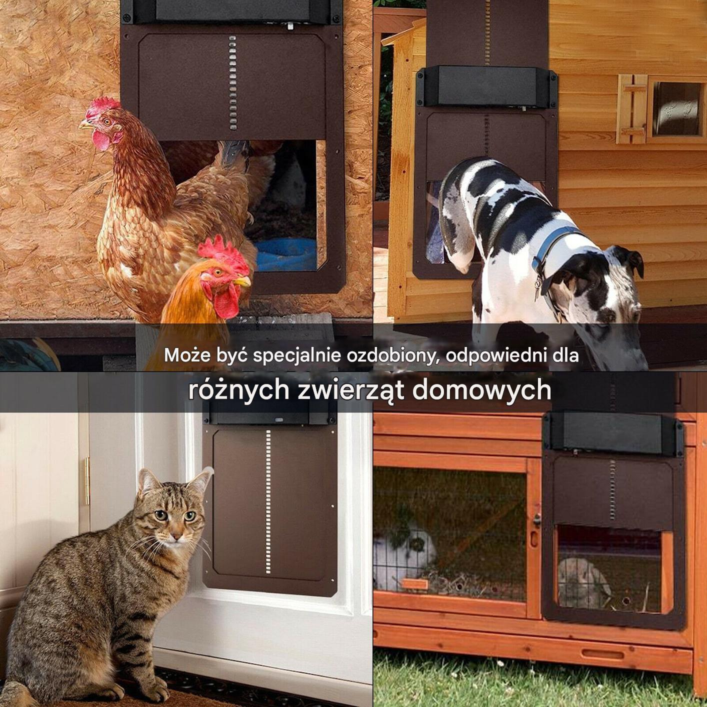 🐔Automatyczne drzwi do kurnika, drzwi do kurnika dla zwierząt domowych-3967466