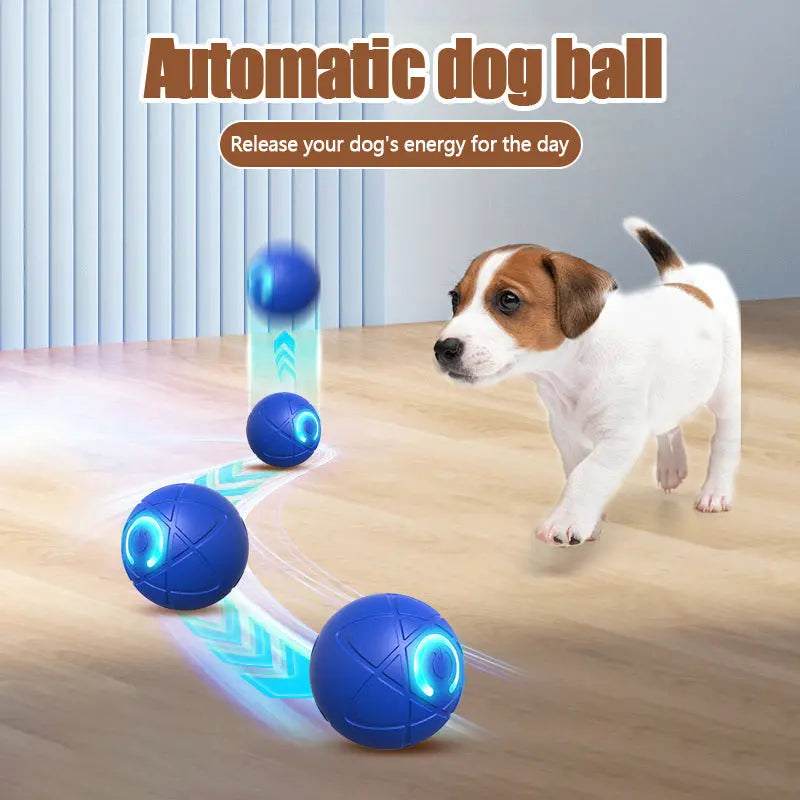 🐶🎁【2KS】Interaktivní míček Smart Pet Bounce🐶