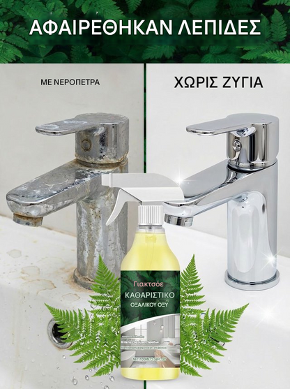 【Kupte 1 a získejte 1 zdarma】👍😁Čistič s kyselinou šťavelovou odstraňuje 10 let staré odolné skvrny od soli za pouhé 3 sekundy!
