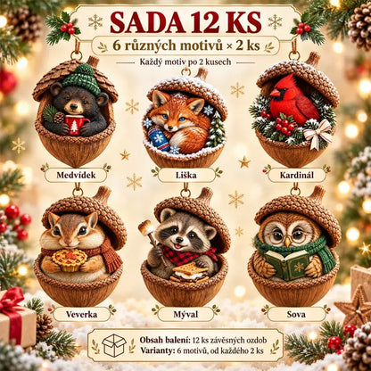 🎉 🎁【Kupte 6 kusů a získejte 6 kusů zdarma】12 kusů za 560 Kč🤩Nový 2D akrylový vánoční design se zvířaty ve tvaru šišky