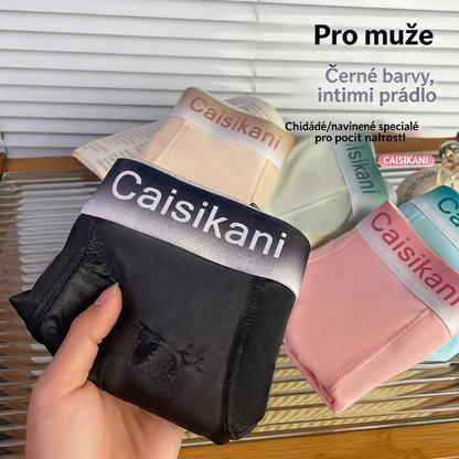 🎁【Balení 5 kusů】【L-4XL】Pánské průsvitné síťované spodní prádlo – sexy, prodyšné a transparentní