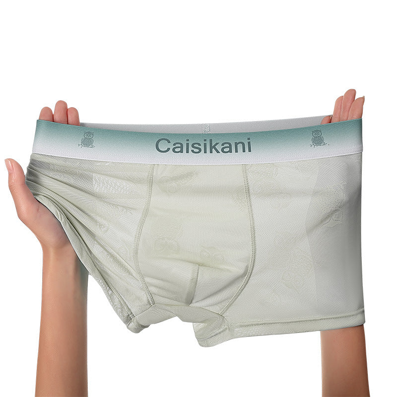 🎁【Balení 5 kusů】【L-4XL】Pánské průsvitné síťované spodní prádlo – sexy, prodyšné a transparentní