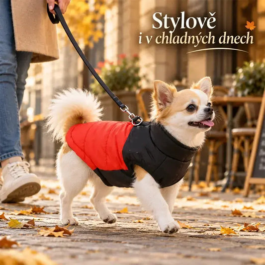 🐶🐱Podzimní a zimní oblečení pro domácí mazlíčky: bundy na vodítko pro venkovní použití, snadno se oblékají a svlékají pomocí zipu, teplé a nepromokavé.✅Platba na dobírku