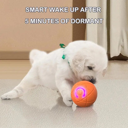 🐶🎁【2KS】Interaktivní míček Smart Pet Bounce🐶