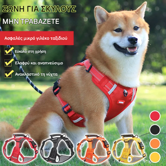 🐶【5-30 kg】Λουράκι σκύλου με ιμάντα, αντι-τράβηγμα, για κατοικίδια.